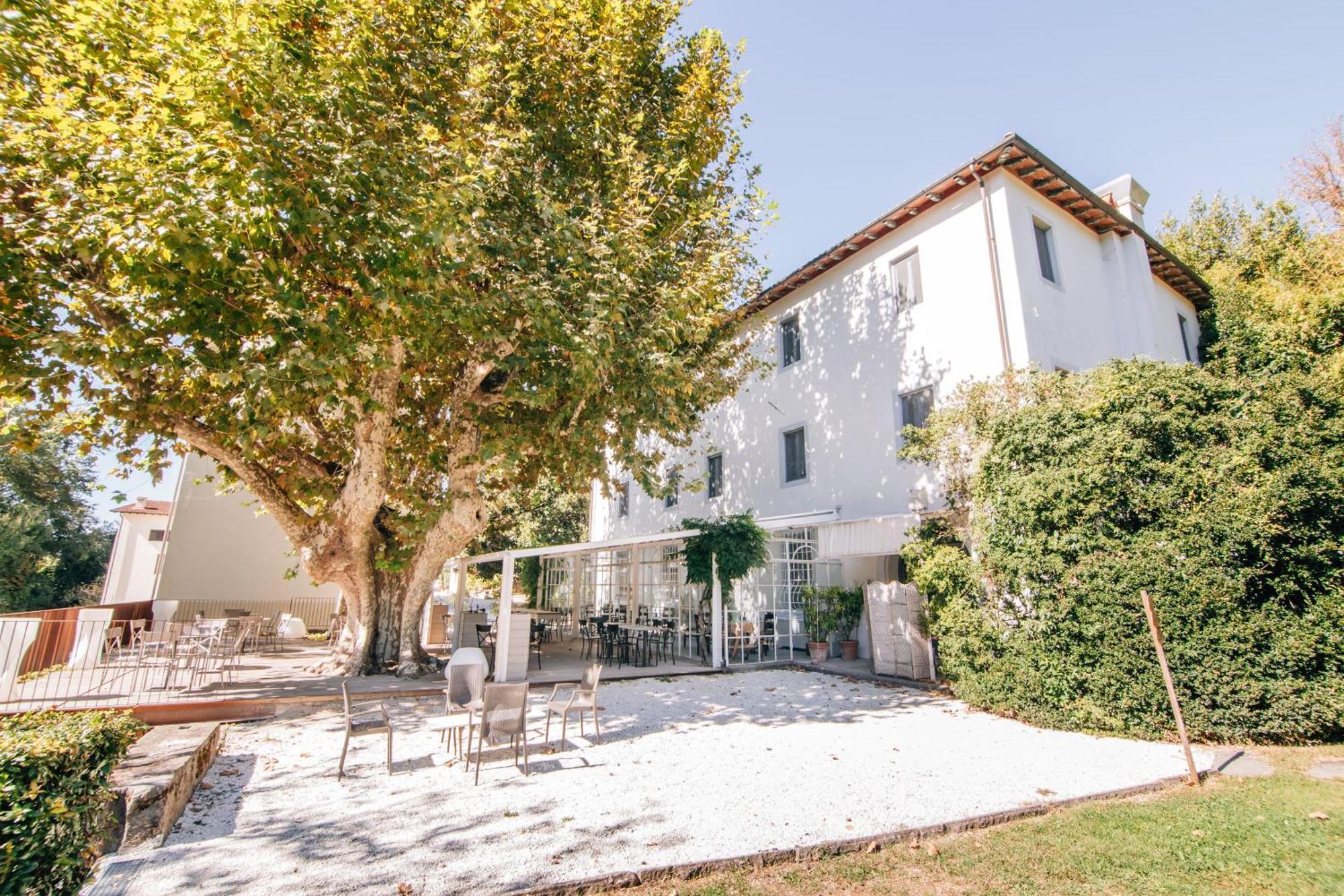 Villa La Bianca Camaiore Bagian luar foto