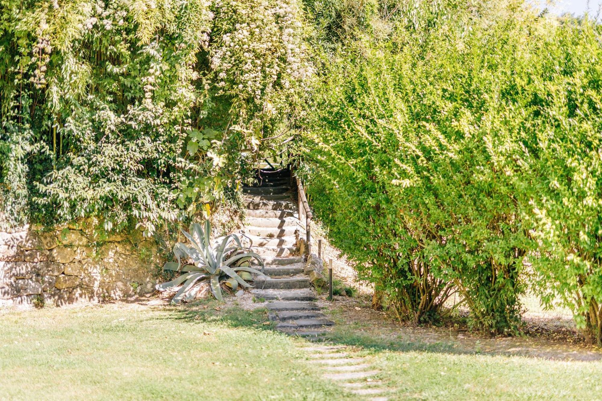 Villa La Bianca Camaiore Bagian luar foto