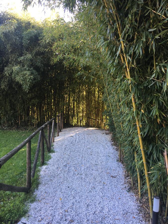 Villa La Bianca Camaiore Bagian luar foto